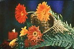 qsl-1990-01-gerbera-kl.jpg