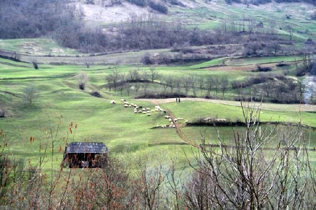 Attractions naturelles dans le comté de Bistriţa Năsăud