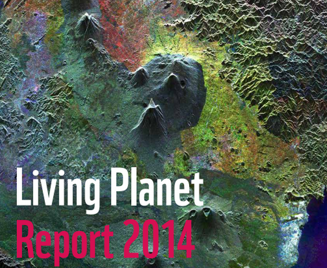 Living Planet Report 2014: WWF prangert Rücksichtslosigkeit der Menschen an