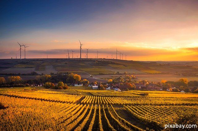 Practici ecologice în agricultură