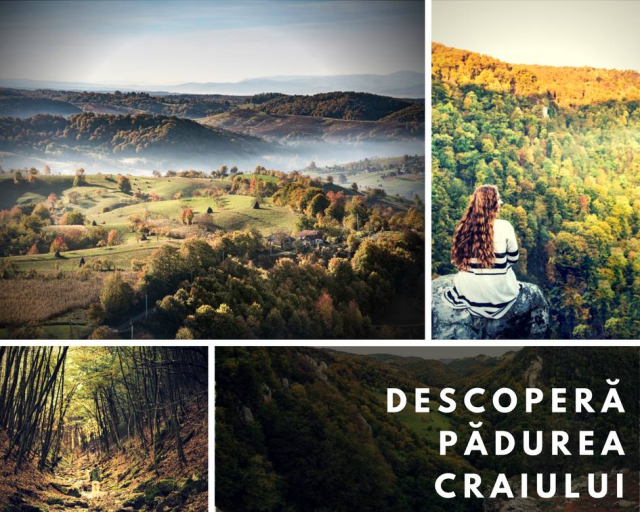 Pădurea Craiului – destination d’écotourisme