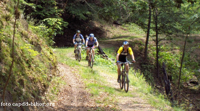 Les Monts Pădurea Craiului