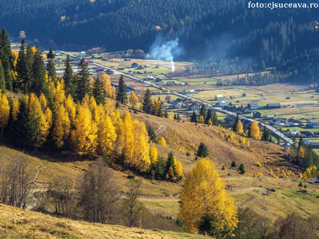 Rural Tourism in Bukovina