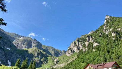 Une nouvelle espèce d’orchidée découverte dans les Monts Bucegi