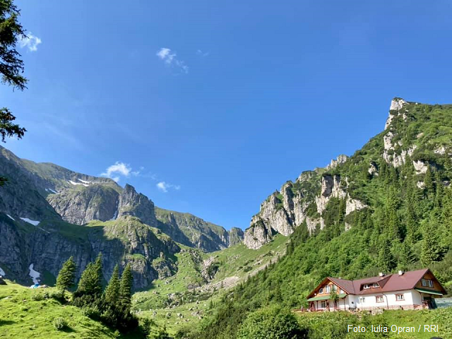 Une nouvelle espèce d’orchidée découverte dans les Monts Bucegi