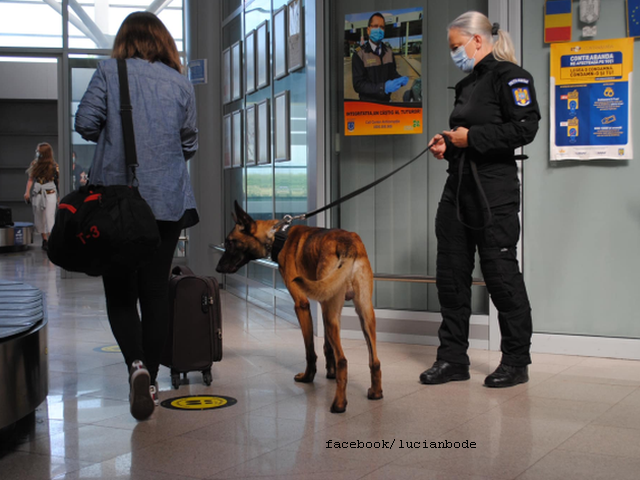 Noutăţi din transportul aerian