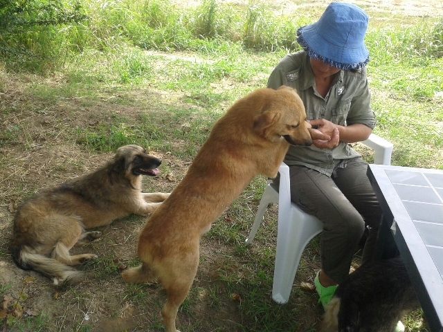 El refugio que salva vidas