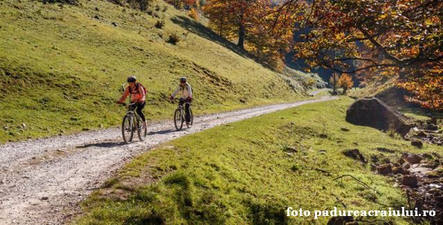 Destinaţia eco-turistică Pădurea Craiului