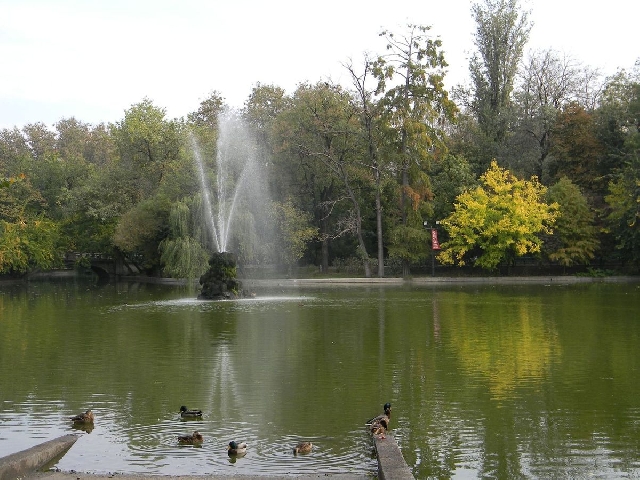 Le parc de Cismigiu, lieu de détente, lieu de culture