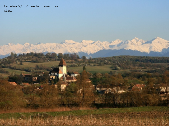 Les collines de la Transylvanie