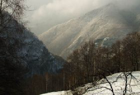 The Jiu River Gorge National Park