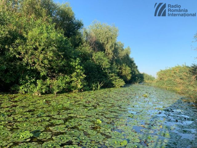 Tourist routes in the Danube Delta