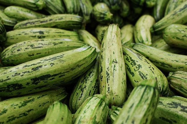 Zucchini Recipes