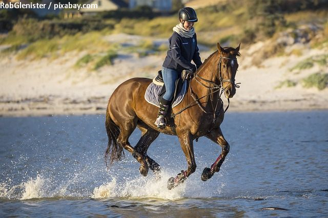 Horseback Riding in Romania – Equitours