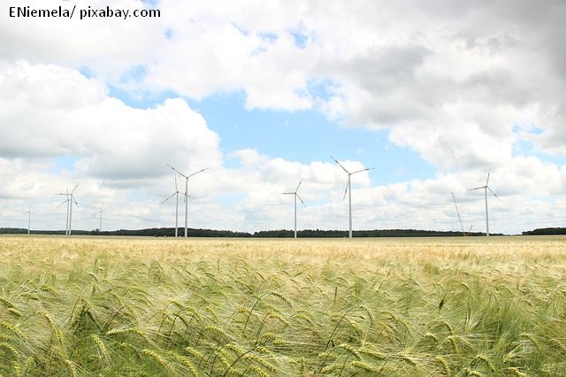 Parlamentul European şi energia verde