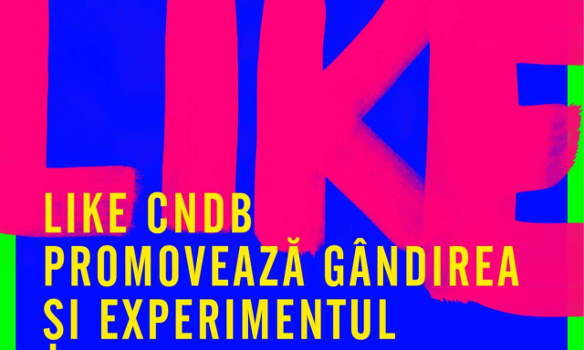 Фестиваль LIKE CNDB