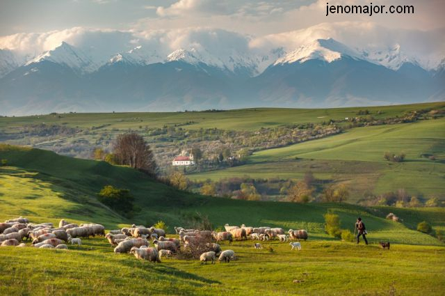 Jeno Major’s Romania