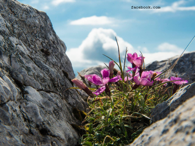 Piatra Craiului National Park