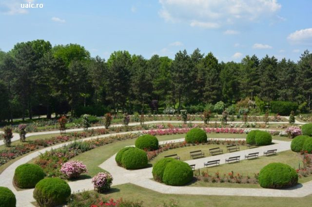 Desde Rumanía hacia el mundo: Jardínes botánicos de Rumanía