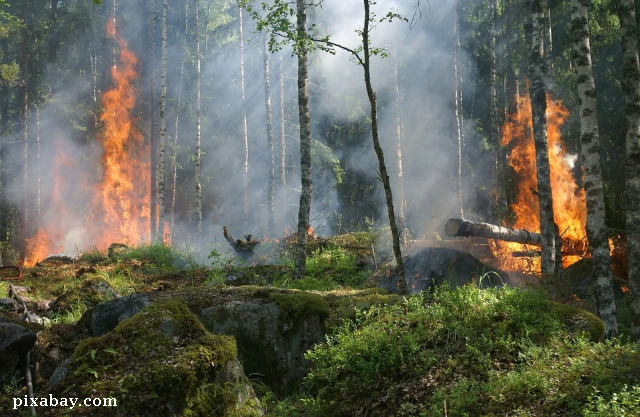 European solidarity against wildfires