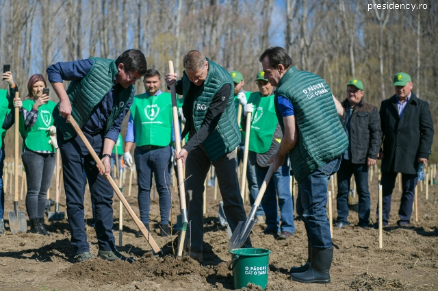 A large-scale afforestation campaign kicks off in Romania