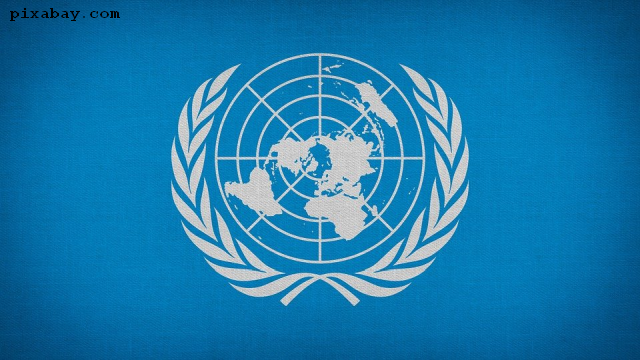 Consiliul de Securitate al ONU cheamă la pauze umanitare în Fâşia Gaza