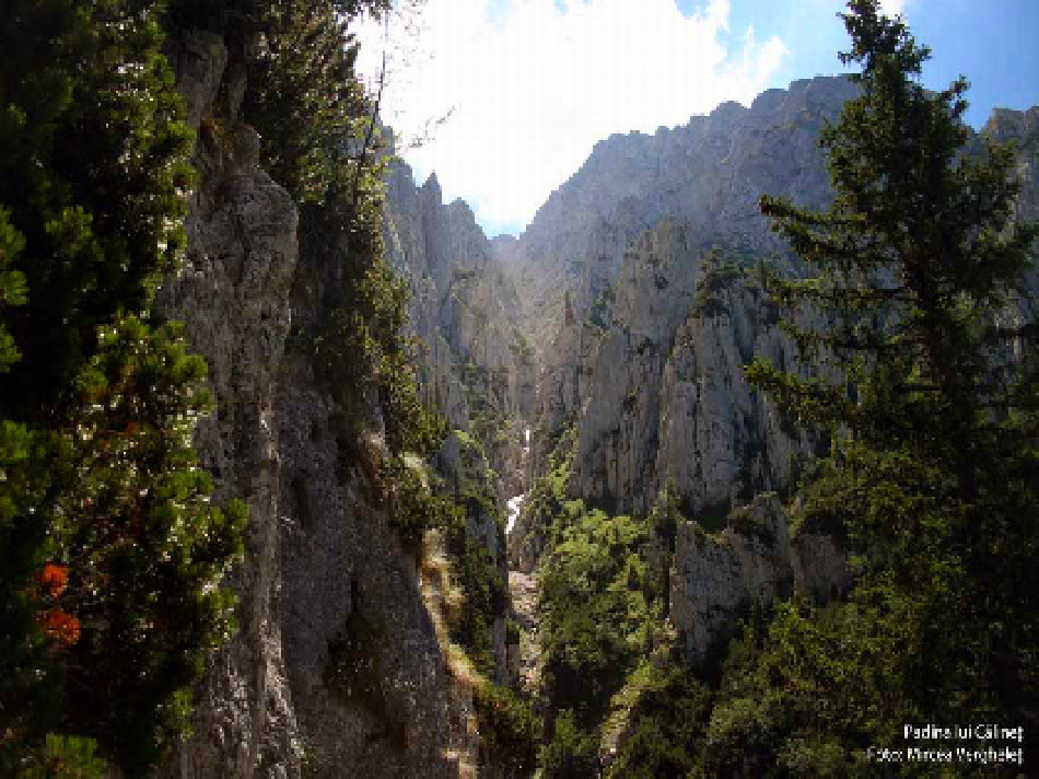 El parque Natural Piatra Craiului