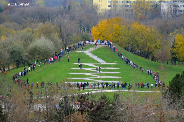 Anul 2014, anul iniţiativelor cetăţeneşti