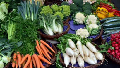 The vegetable garden