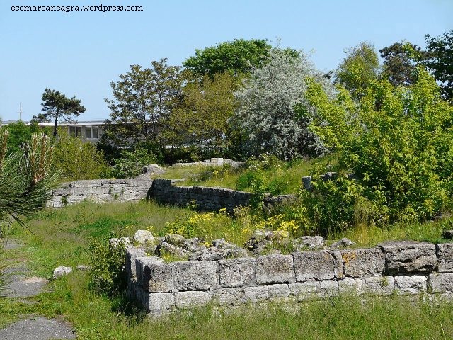 Callatis- ciudadela antigua a la orilla del Mar Negro