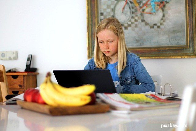 Plaidoirie pour l’enseignement en ligne