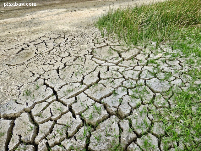 Severe drought in Europe