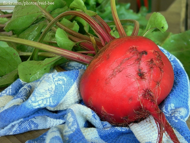 Pickled Red Beet