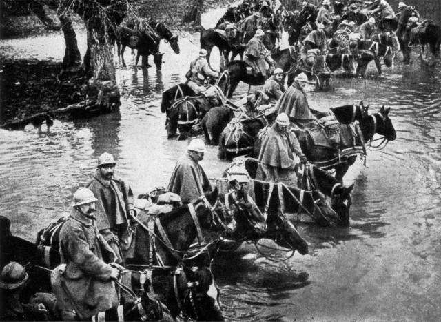 La bataille de Verdun et l’entrée  de la Roumanie dans la première guerre mondiale