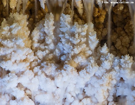 Salt in the Romanian Folk Tradition