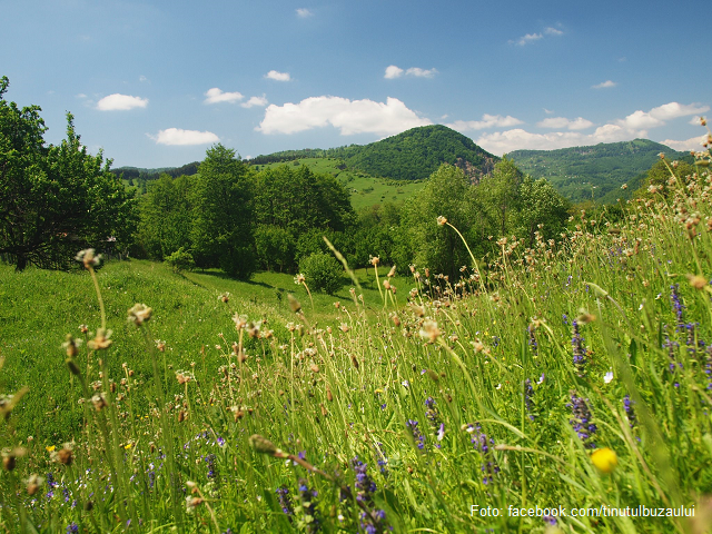 « Le Pays de Buzău », nouveau Géoparc mondial UNESCO