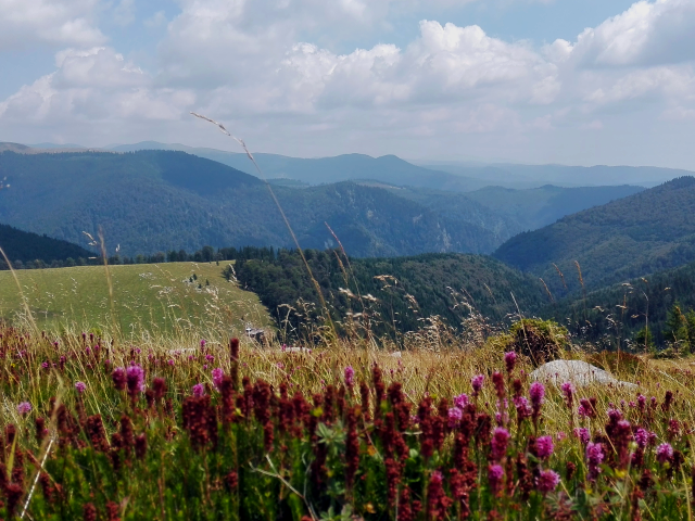 Atracții turistice în județul Gorj