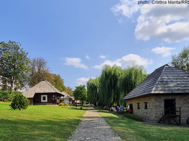 Bucovina