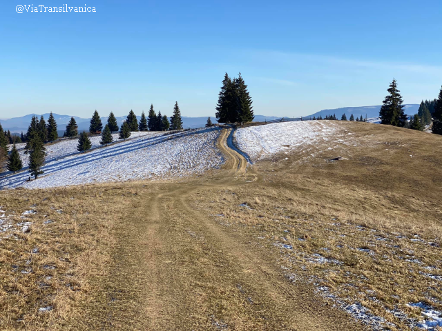 Via Transilvanica ou la découverte de la Roumanie à pied