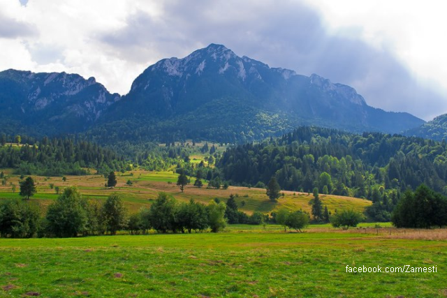 Zărneşti