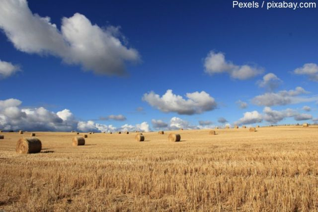 Prețul terenurilor agricole în statele UE