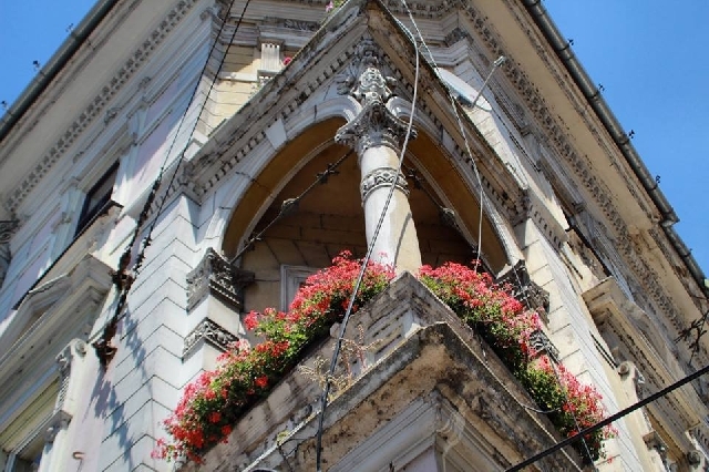 Stadtverschönerung: Blumenstadt Klausenburg