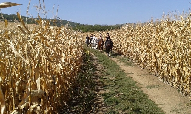 Reiturlaub im Landkreis Alba