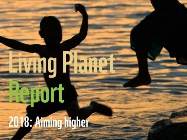 Living Planet Report 2018: Artensterben geht weiter