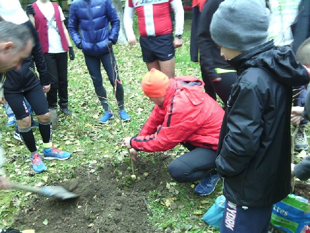 Aufforstung: Ein Wald für Kinder