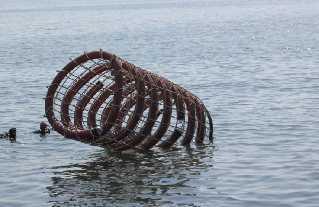 Ökosystem-Regenerierung: Künstliche Riffe im Schwarzen Meer