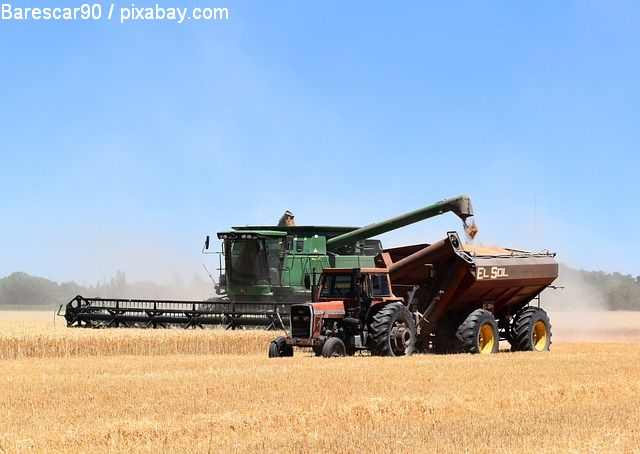 CE lucrează la un set de măsuri pentru a rezolva problema cerealelor ucrainene ieftine