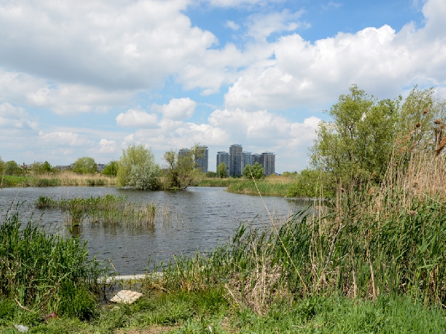 Naturlaunen: Das Paradies im Plattenbau