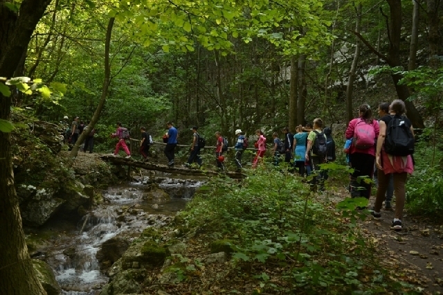 Schüler schützen die Natur