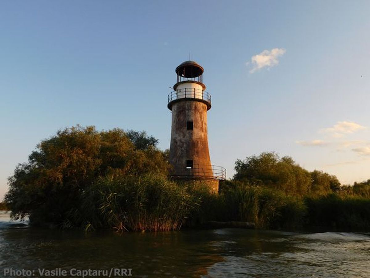 Vacanţă în Delta Dunării